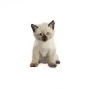 mの画像