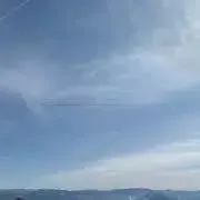 バシの画像
