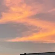 しろ