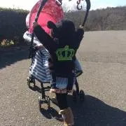 おさる