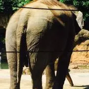 たかはし