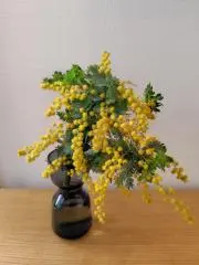 K.Sの画像