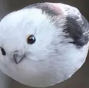 みっちの画像