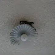 はるくん