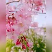 年子ママ奮闘中の画像