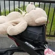 ゆか*