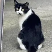 るきえの画像