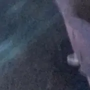 はるやん