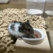 是乃※プロフご確認下さいの画像