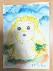 ぶどうの画像