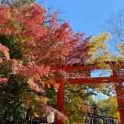 kasumiの画像