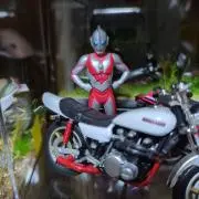 ドラムスコの画像
