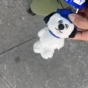 lalaの画像