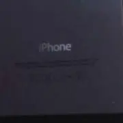 ボブ