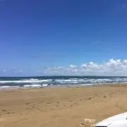 かいしゃいん