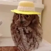 mgmの画像