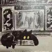 y☺︎の画像