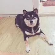 ちか