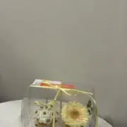 ☆の画像