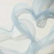 もっちの画像
