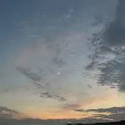 さとうの画像