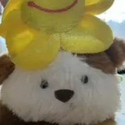 えだまめの画像