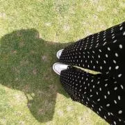 オレンジの画像