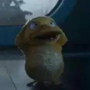 シャポの画像