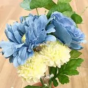 かえ