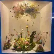 かのんの画像