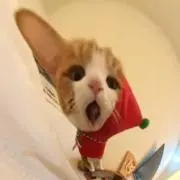 chumの画像