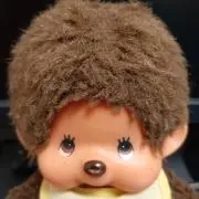はなさかにゃんこの画像