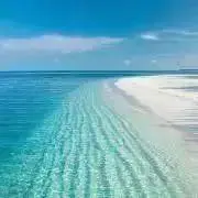 すずの画像