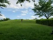 marikakaの画像