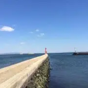 てーぼー