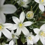 ラララ♪の画像