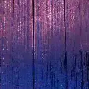 YYの画像