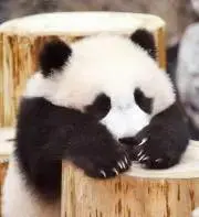 まーの画像