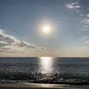 ポッチャマの画像