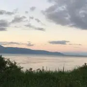 Image of しもきち