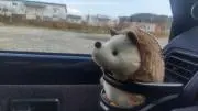 高橋啓修の画像