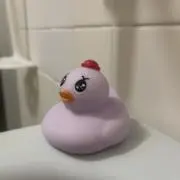 たまちゃんの画像
