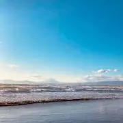 kotsubuの画像
