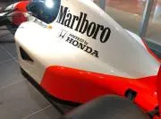 やちの画像