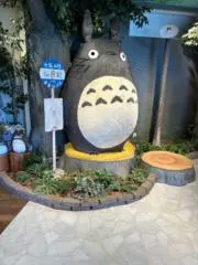 TKYM91の画像