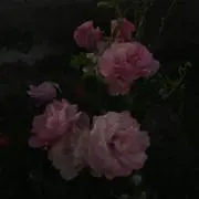 aaaの画像