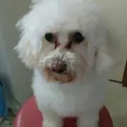 アリちゃんの画像