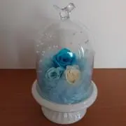 みーの画像