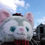 Image of ぽんきち