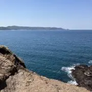jetahoyushiju5.5の画像